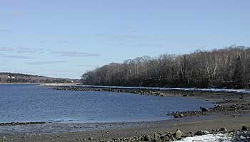View of the eastern shoreline from the causeway.